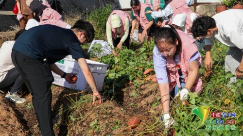 图片 7.jpg 图片 7.jpg